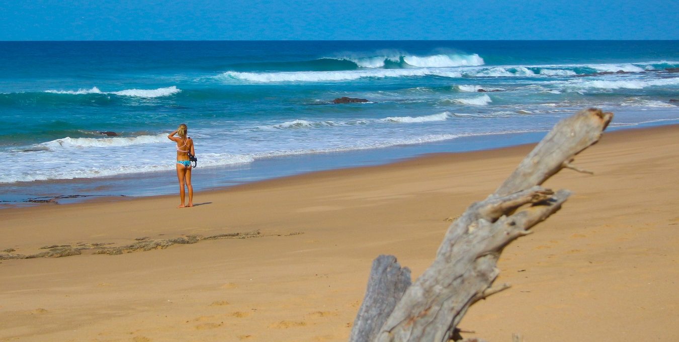 Surf empty warm lineups..